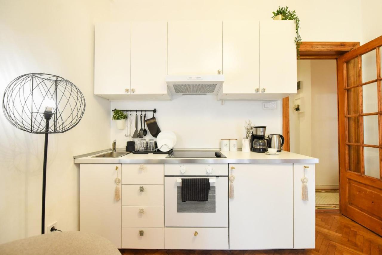 Vintage Elegance, Modern Comfort: 1Br Apartment Overlooking Calea Victoriei Bukarest Kültér fotó
